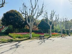 -上海鲜花港