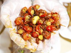 -松哥油焖大虾.小龙虾.黑鸭煲(海岸城店)