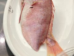 -吴记富苑(朝阳店)