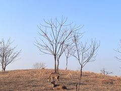 -良渚古城遗址公园
