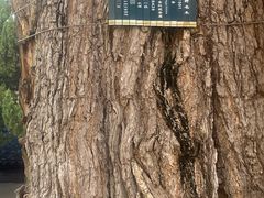 -苏州文庙(姑苏区)