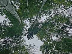 -池州市平天湖风景区