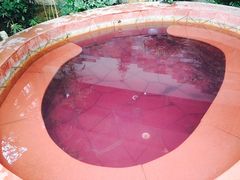 -南宫温泉水世界