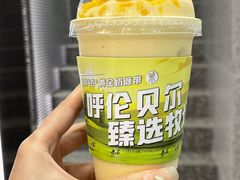 -茉酸奶(春熙路店)
