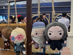 -美琪大戏院