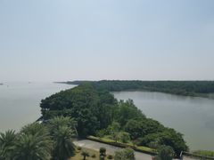 -大湾区中央湿地公园