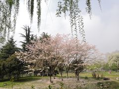 -堤角公园