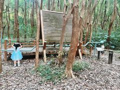-同里国家湿地公园