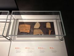 -盘龙城国家考古遗址公园