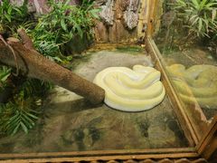 -上海大自然野生昆虫馆