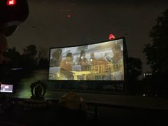 -枫花园汽车电影院(朝阳公园店)