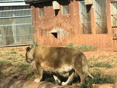 -昆明动物园