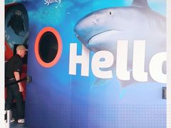 -悉尼海洋生物水族馆