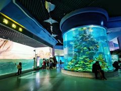 -福州罗源湾海洋世界旅游区