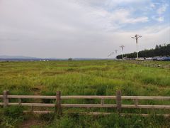 -敕勒川草原