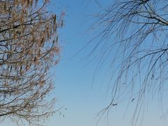 -广富林郊野公园