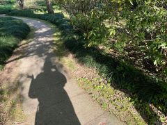 -杭州植物园
