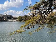 -明谷行馆·温泉