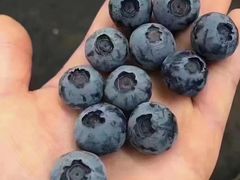 -上海龙吴水胜海发市场