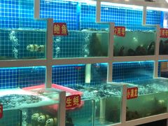 水产区-冶建镜子·老南昌大排档·江西虾王(总店)