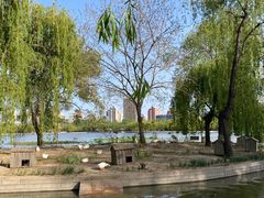 -莲花池公园