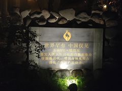 -张家港金凤凰度假村温泉