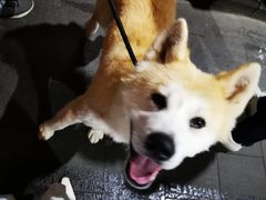 -蔓兰家的四季S0餐厅·融合菜(当代MOMA店)