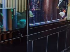 -长赢养生(平度店)