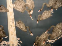 -江苏省美术馆(长江路新馆)