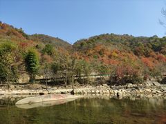 -武汉姚家山旅游景区
