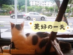 -251#coffee roasters(沿河东路店)