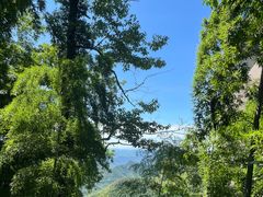 -莫干山风景区