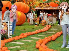 -HERRE·FARM 赫尔露营农场·团建聚会包场