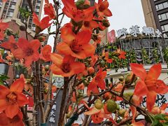 -攀枝花野菜铜火锅(万科凯德店)