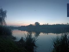 -白鹭湾湿地公园