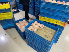 -老袁家蜜桃农场·阳山水蜜桃