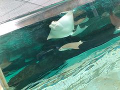 -新加坡水上探险乐园