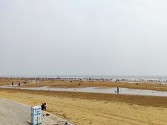 -日照海滨国家森林公园