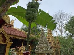 -西双版纳傣族园