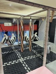 -meland club亲子乐园(重庆万象城店)