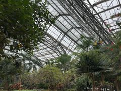 -南山植物园