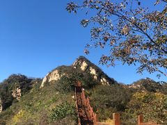 -大岭沟猕猴桃谷风景区