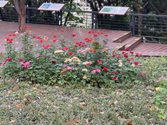 -苏州河梦清园环保主题公园