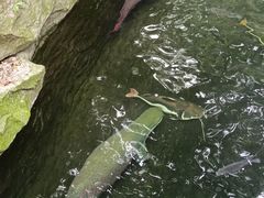 -青青世界