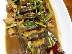 -俏东方·海味水饺·青岛菜(崂山店)