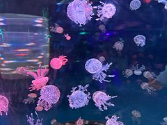 -广州海洋馆