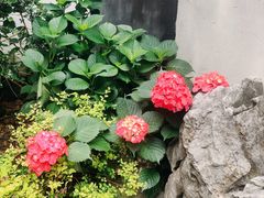-松江清真寺
