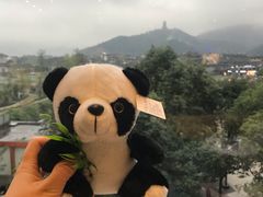 -都江堰中心国际酒店