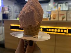 -野人牧坊Gelato(天津南开大悦城店)