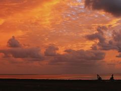 -春花秋色城市公园